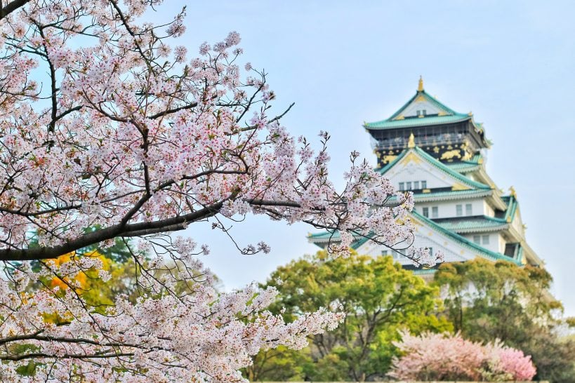 the-guide-to-japans-cherry-blossom-season